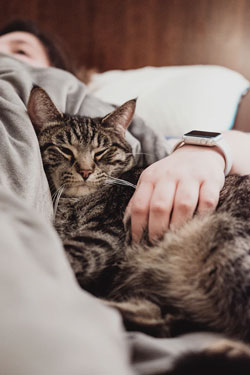 Person Resting in Bed with Cat