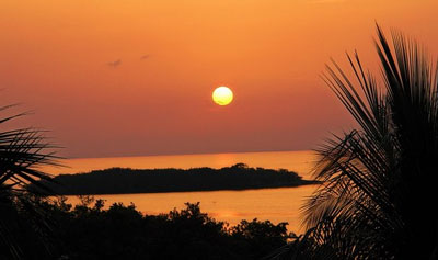 Photo of a sun over an ocean with silhouettes of trees near South Beach, Miami