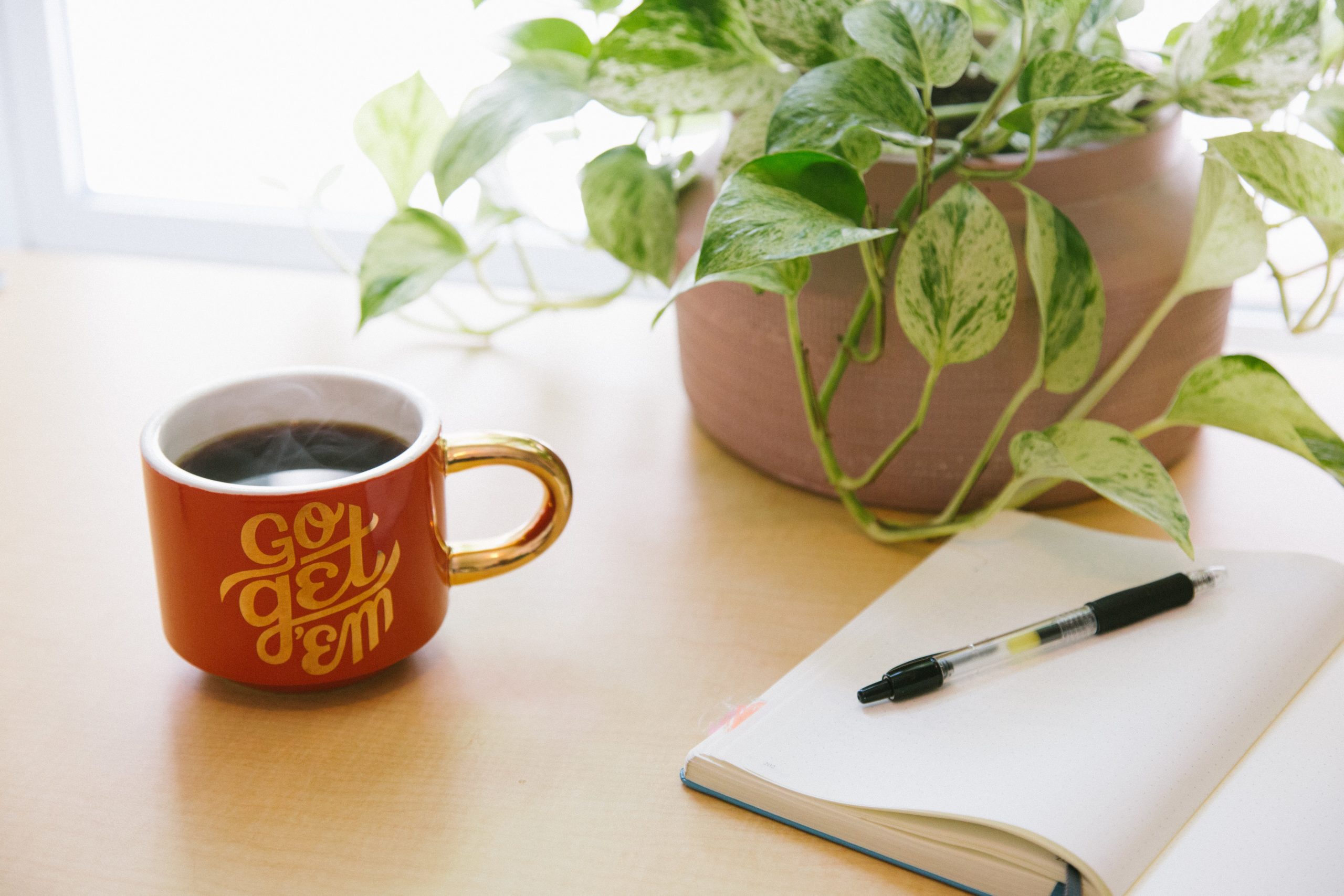 Journal, plant, and coffee mug full of coffee